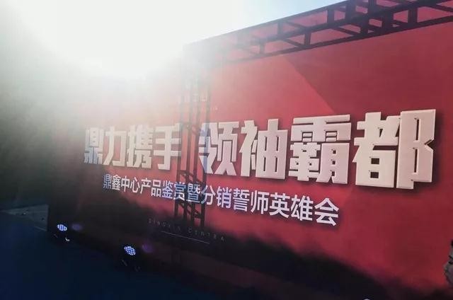 鼎力攜手，領(lǐng)袖霸都！合肥鼎鑫中心產(chǎn)品鑒賞暨分銷誓師英雄會(huì)圓滿落幕！