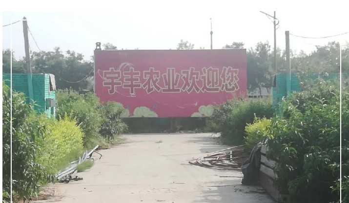 建一個市場、興一方產(chǎn)業(yè)、富一方百姓，孝義農(nóng)產(chǎn)品大市場產(chǎn)供銷一體化在行動！