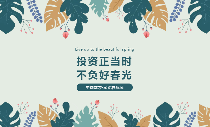 孝義唯一大產(chǎn)權(quán)的農(nóng)批商鋪，投資有保障！
